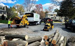 Best Lawn Drainage Solutions  in Marietta, GA