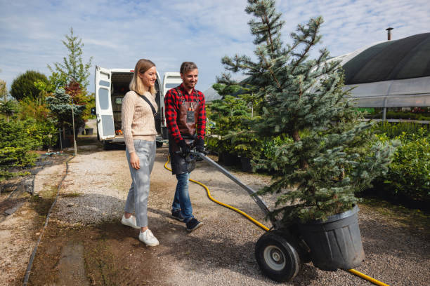 Best Lawn Maintenance Plans  in Marietta, GA